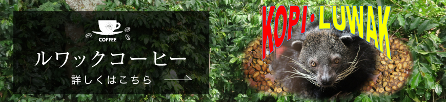バナー：ルワックコーヒーについてはこちら