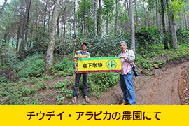 チウデイ・アラビカの農園にて