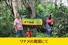 ワナメの農園にて