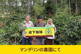 マンデリンの農園にて