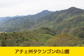 アチェ州タケンゴンの山麓