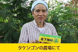 タケンゴンの農場にて