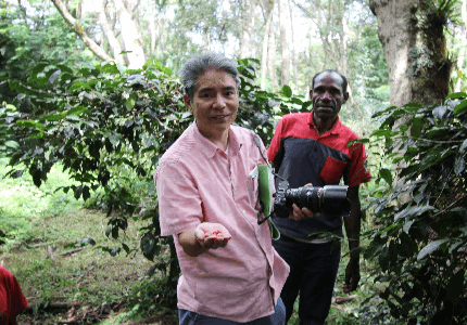 パプワ州ワメナ