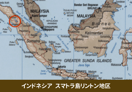 スマトラ島リントン地区