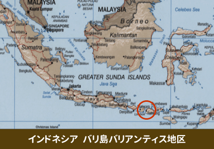 バリ島バリアンティス地区