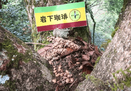 スマトラ島アチェ州