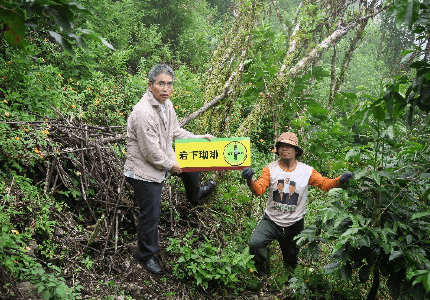 スラウェシ島カロシ