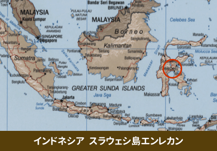 スラウェシ島エンレカン