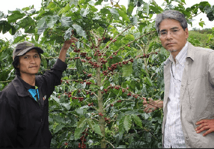 スラウェシ島エンレカン